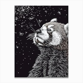 Red Panda Looking At A Starry Sky Ink Illustration 4 Canvas Print