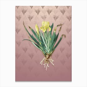 Vintage Crimean Iris Botanical on Dusty Pink Pattern n.1234 Canvas Print