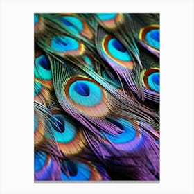 Peacock Feathers 6 Canvas Print