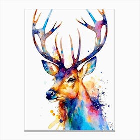 Reindeer Water color Canvas Print