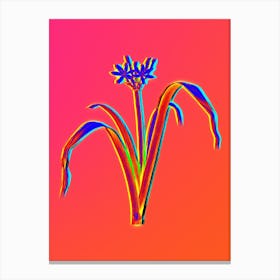 Neon Small Flowered Pancratium Botanical in Hot Pink and Electric Blue n.0380 Canvas Print