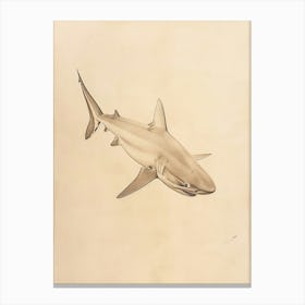 Phoebefy A Pencil Crayon Drawing Of A Shark Centred 1970prese 82322e95 B79c 4eea 8cc5 9250fa76073c 2 Canvas Print