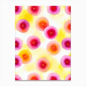 Summer Fruits Painting Fruit Canvas Print