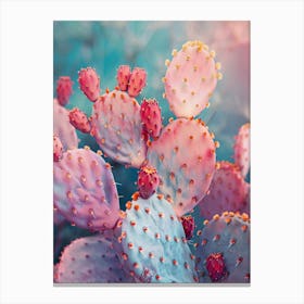 Cactus in pink Canvas Print