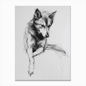 Shiba Inu Dog Charcoal Line 3 Canvas Print