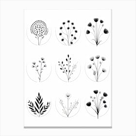 Collection Of Plants In Black And White Line Art 4 Canvas Print