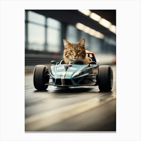 Cat In A Race Car Canvas Print