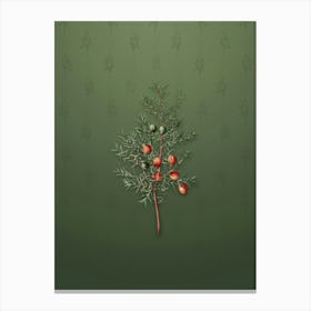 Vintage Common Juniper Botanical on Lunar Green Pattern n.0843 Canvas Print