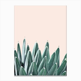 Botanical art 1 Canvas Print