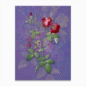 Vintage Velvet China Rose Botanical Illustration on Veri Peri Canvas Print
