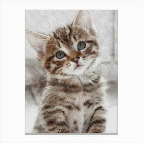 Cat Cute. Canvas Print