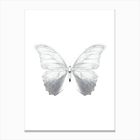 Silver Butterfly Leinwandbilder