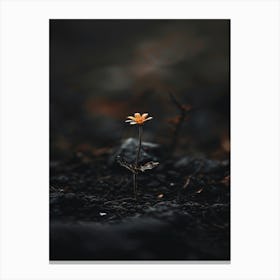 Flower In The Dark 56 Canvas Print