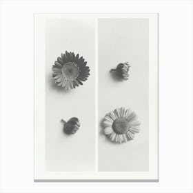 Gerbera Flower Photo Collage 4 Canvas Print