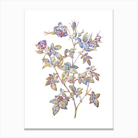 Stained Glass Pink Flowering Rosebush Mosaic Botanical Illustration on White Canvas Print