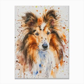 Shetland Sheepdog Watercolor Painting 4 Canvas Print