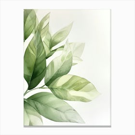 Watercolor Leaves 8 Canvas Print