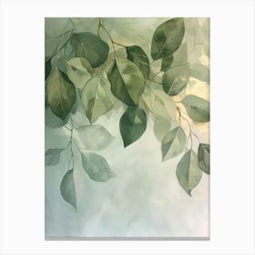 Green Leaves On A Branch 1 Canvas Print