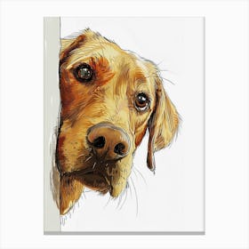 Golden Retriever Canvas Print