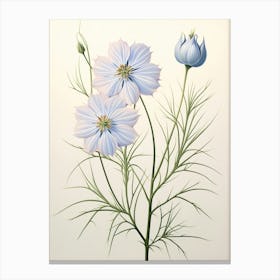 Floral Illustration Love In A Mist Nigella 1 Canvas Print