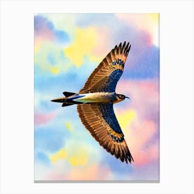 Harrier Watercolour Bird Canvas Print