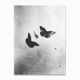 Dance Of The Butterflies No 1 Canvas Print