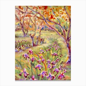 Iris Garden Canvas Print