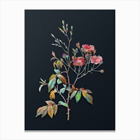 Vintage Pink Noisette Roses Botanical Watercolor Illustration on Dark Teal Blue n.0330 Canvas Print