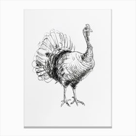 B&W Turkey Canvas Print