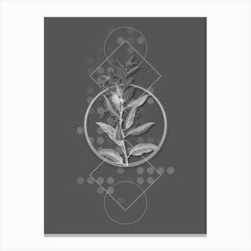 Vintage Evergreen Oak Botanical with Line Motif and Dot Pattern in Ghost Gray Canvas Print