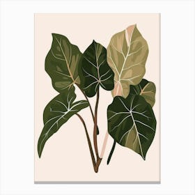 Eucalyptus 28 Canvas Print