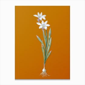 Vintage Ixia Liliago Botanical on Sunset Orange n.0456 Canvas Print