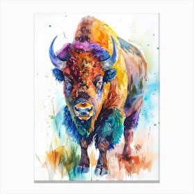 Bison Colourful Watercolour 3 Canvas Print