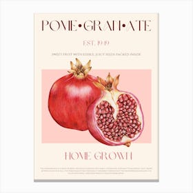 Pomegranate Fruit Mid Century Canvas Print