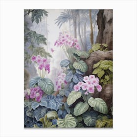 Vintage Jungle Botanical Illustration African Violet 1 Canvas Print