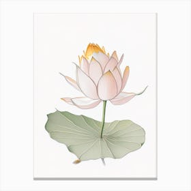 Amur Lotus Pencil Illustration 5 Canvas Print