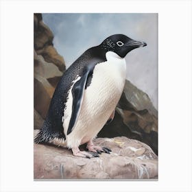 Adlie Penguin Stewart Island Ulva Island Oil Painting 2 Canvas Print