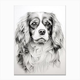 Cavalier King Charles Spaniel Dog, Line Drawing 1 Canvas Print