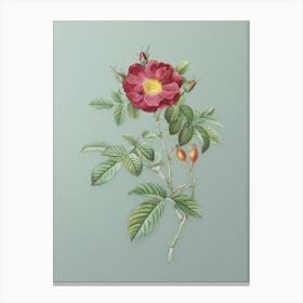 Vintage Red Portland Rose Botanical Art on Mint Green n.0602 Canvas Print