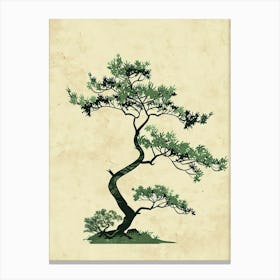 Yew Tree Minimal Japandi Illustration 4 Canvas Print