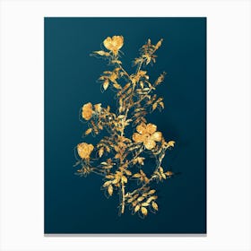 Vintage Hedge Rose Botanical in Gold on Teal Blue n.0218 Canvas Print