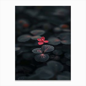 Cute Lily Flower Canvas Print