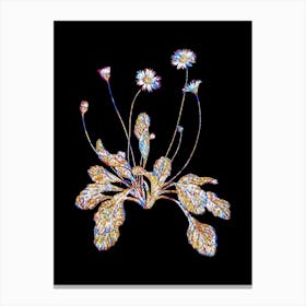 Stained Glass Daisy Flowers Mosaic Botanical Illustration on Black n.0233 Canvas Print