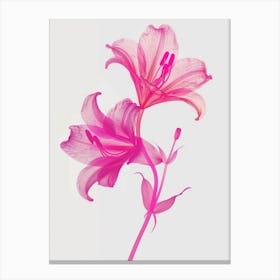 Hot Pink Lily 3 Canvas Print