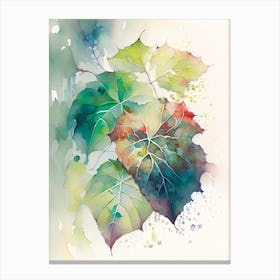 Pacific Poison Ivy Pop Art 8 Canvas Print