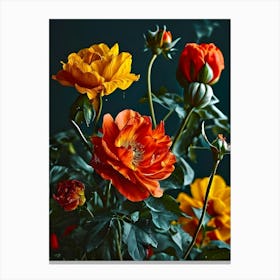 Orange Roses 1 Canvas Print