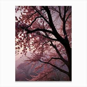 Cherry Blossoms 18 Canvas Print