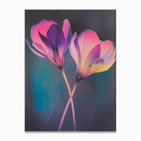 Iridescent Flower Cyclamen 1 Canvas Print