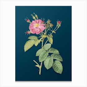 Vintage Harsh Downy Rose Botanical Art on Teal Blue n.0470 Canvas Print