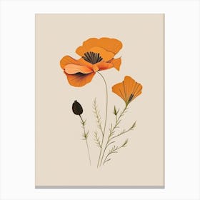 California Poppy Spices And Herbs Retro Minimal 2 Canvas Print